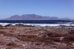 Table mountain from Robbenisland